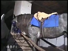 Animal xxx จับสาวซิงฝรั่ง ให้ม้าเย็ดในป่า บอกเลยว่าฟินมากๆ